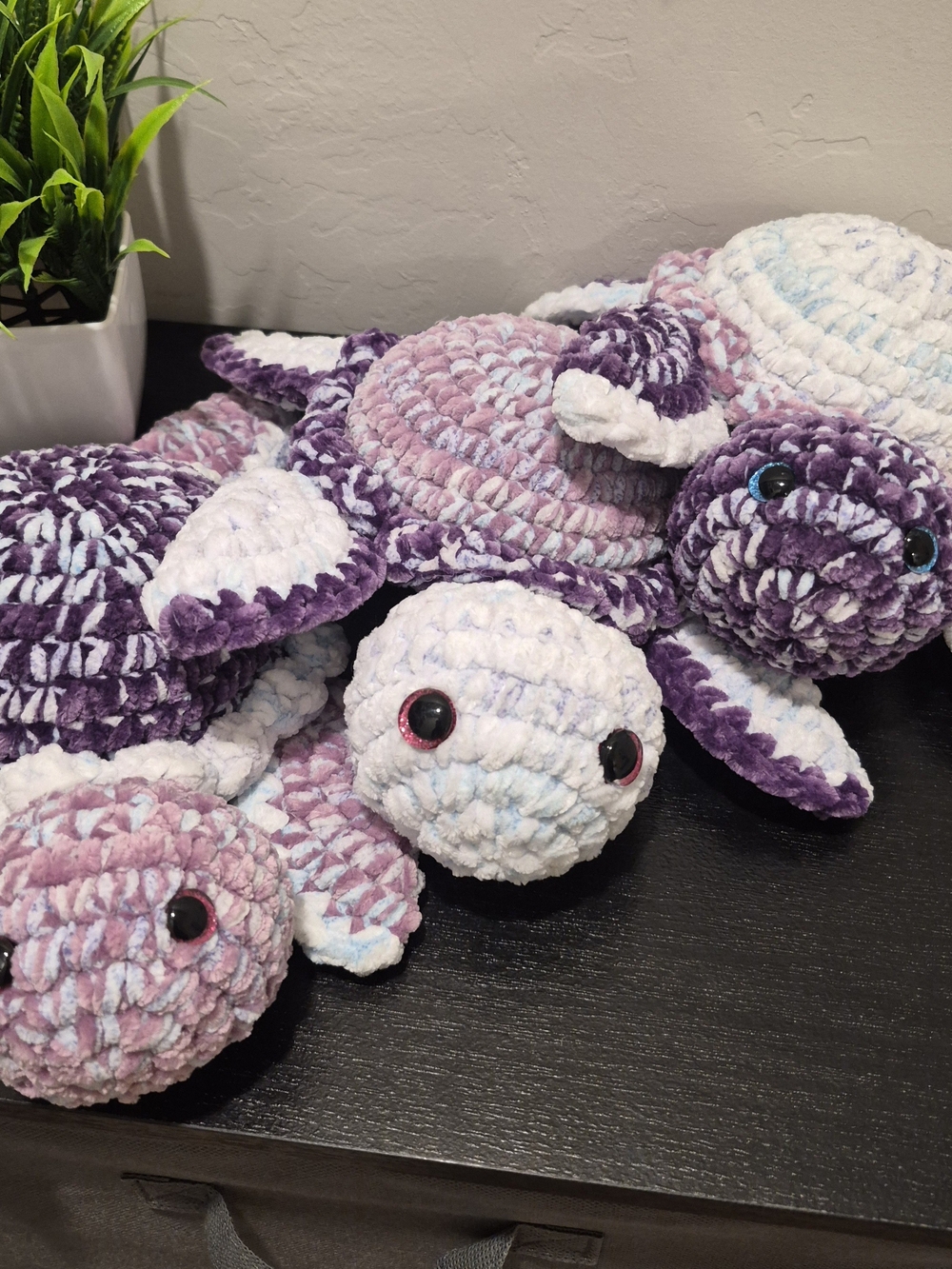 Plush Turtle - Picture 5 of 5